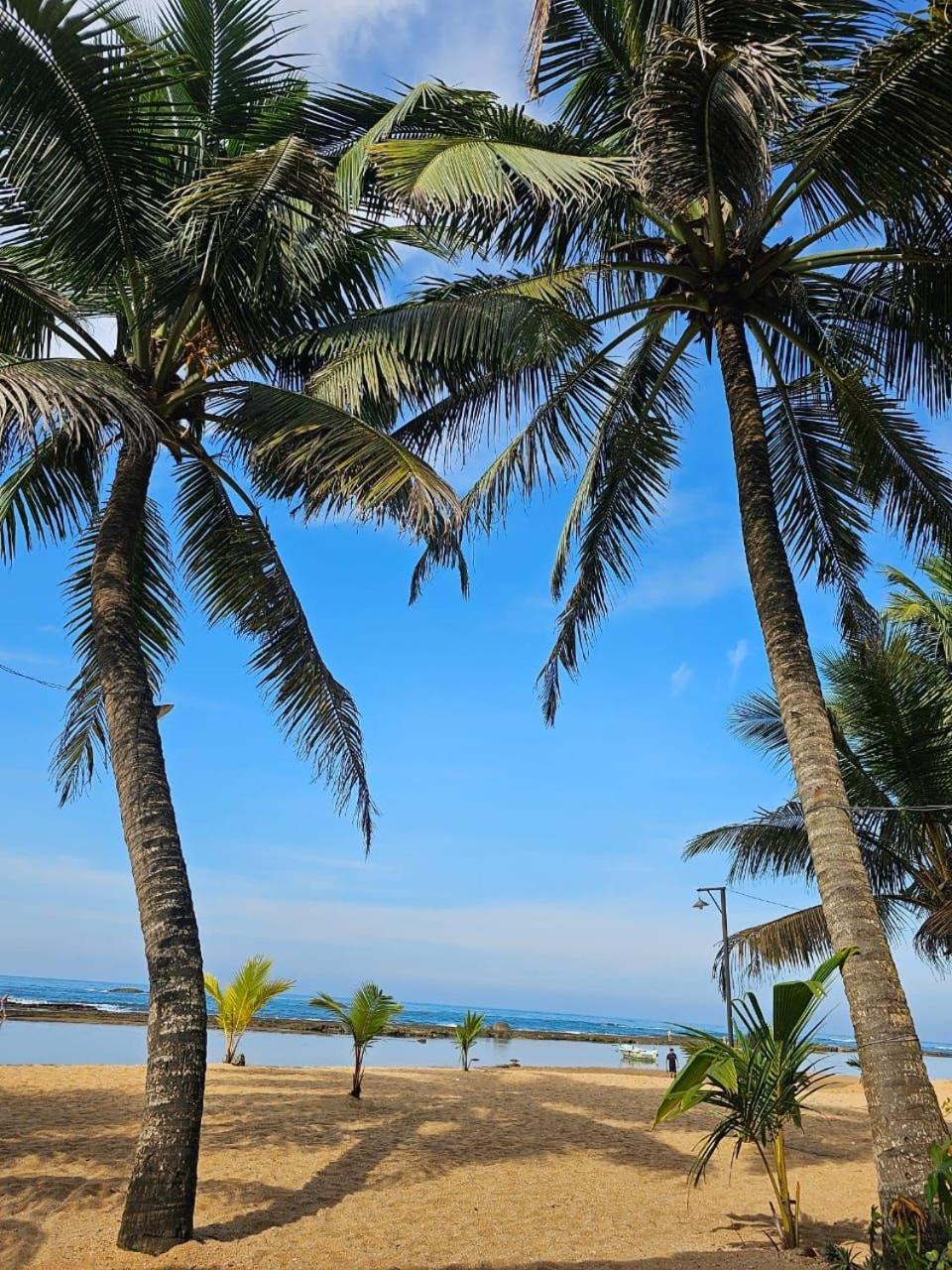 Paradise Bay Beruwala Extérieur photo